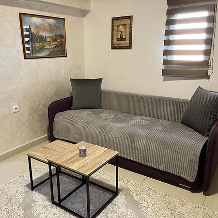 Apartment Helena Airport 波德戈里察 外观 照片