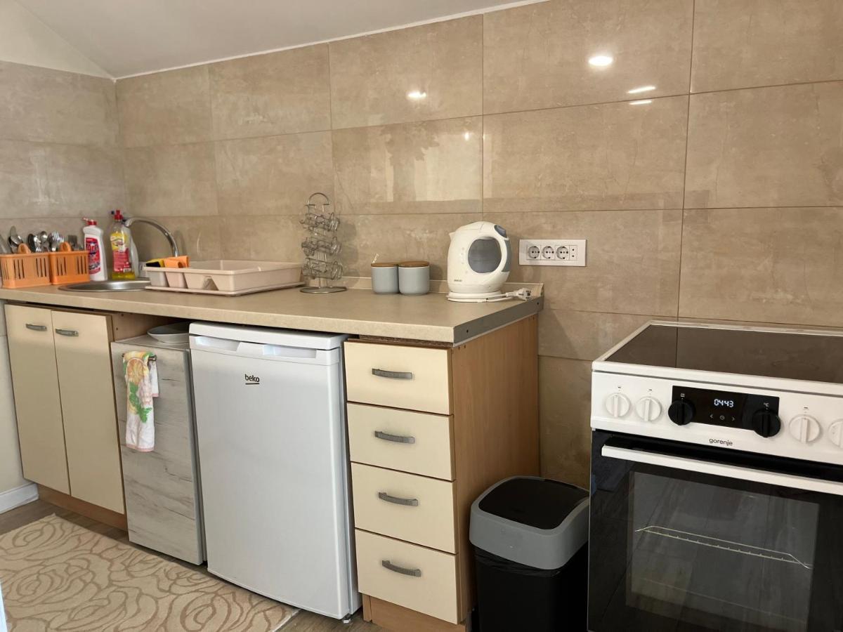 Apartment Helena Airport 波德戈里察 外观 照片