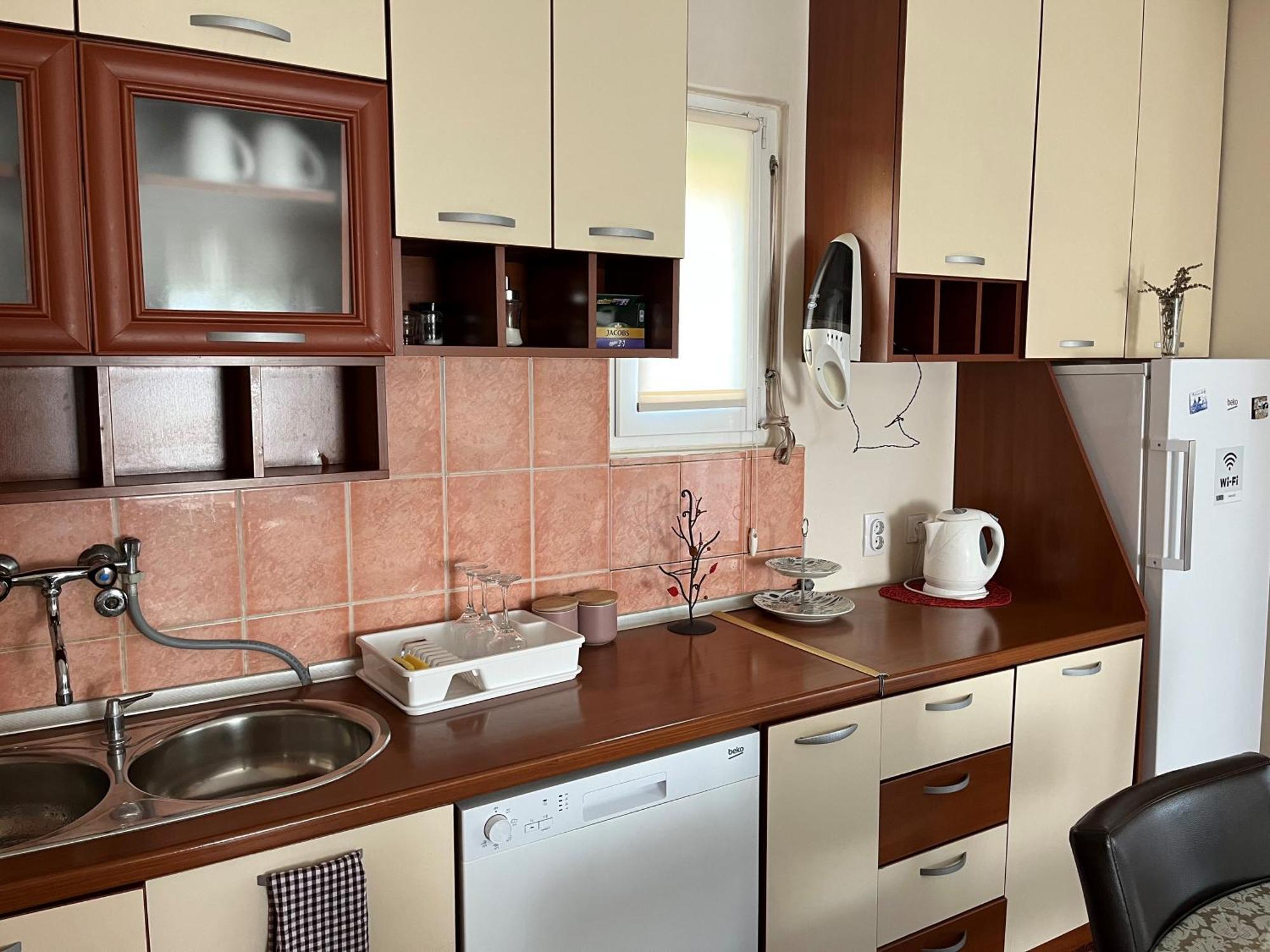Apartment Helena Airport 波德戈里察 外观 照片