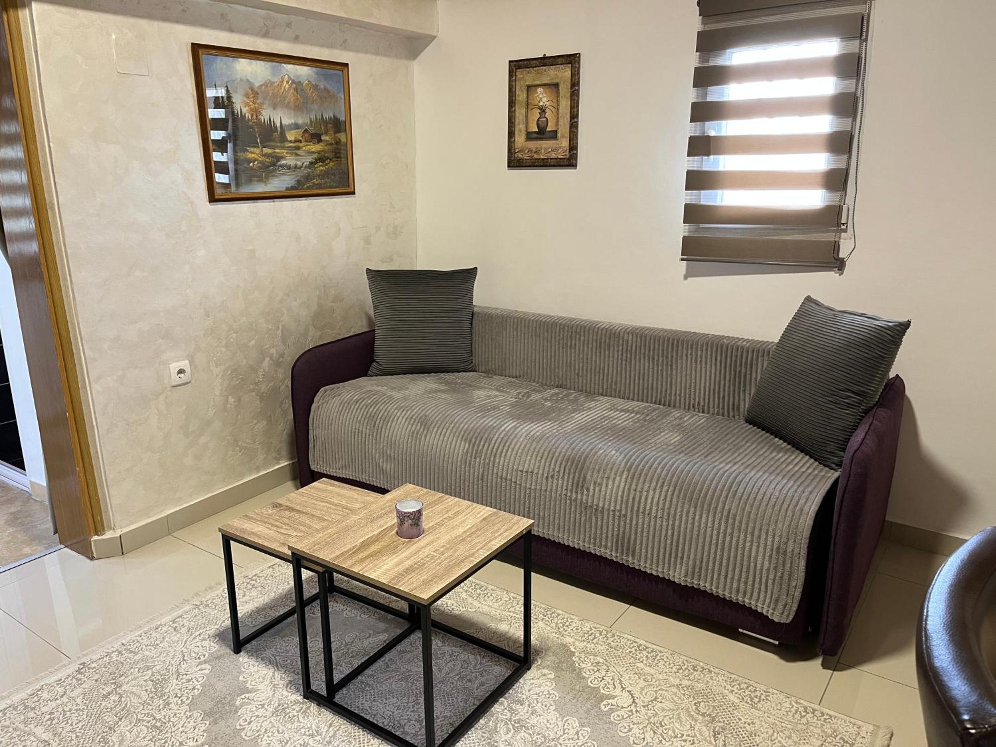 Apartment Helena Airport 波德戈里察 外观 照片